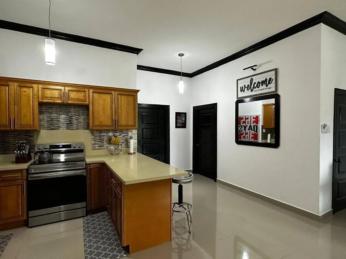 Luxury Living Modern Contemporary Home With Brand New Pool In Manor Park Kingston
