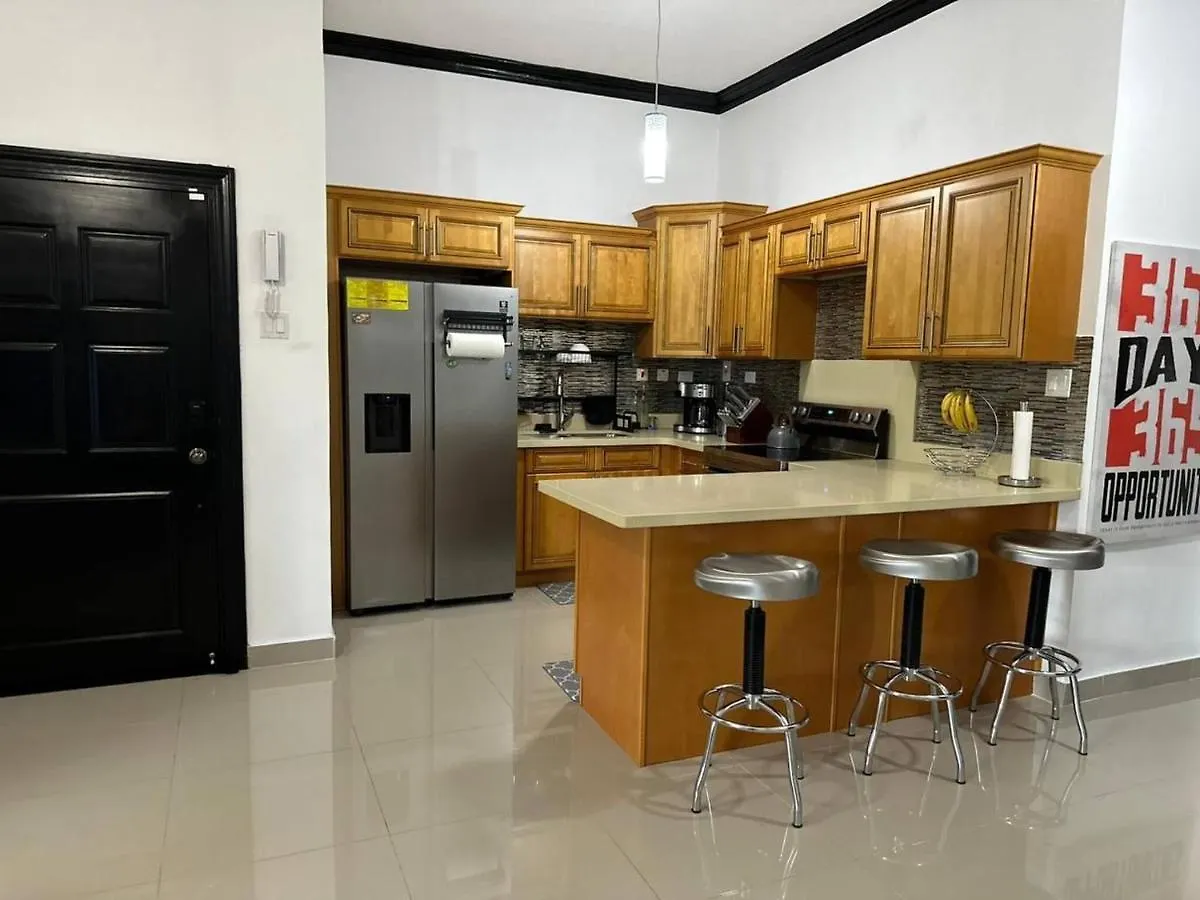 Luxury Living Modern Contemporary Home With Brand New Pool In Manor Park Apartament Kingston